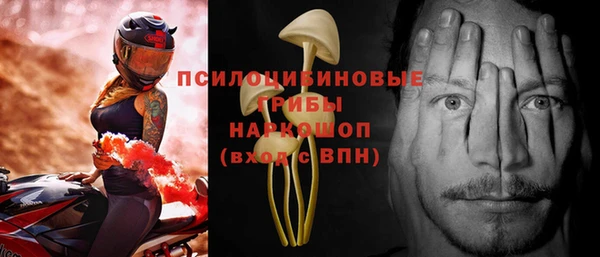 МДПВ Навашино