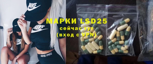 трава Новозыбков