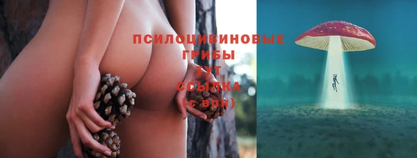прущий лед Аша