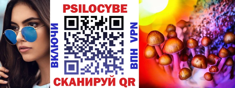 Псилоцибиновые грибы Cubensis  shop официальный сайт  Нахабино  где найти наркотики 