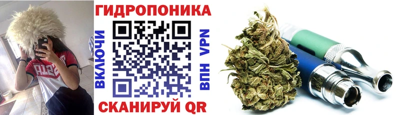Марихуана THC 21%  где продают   blacksprut ссылки  Нахабино 